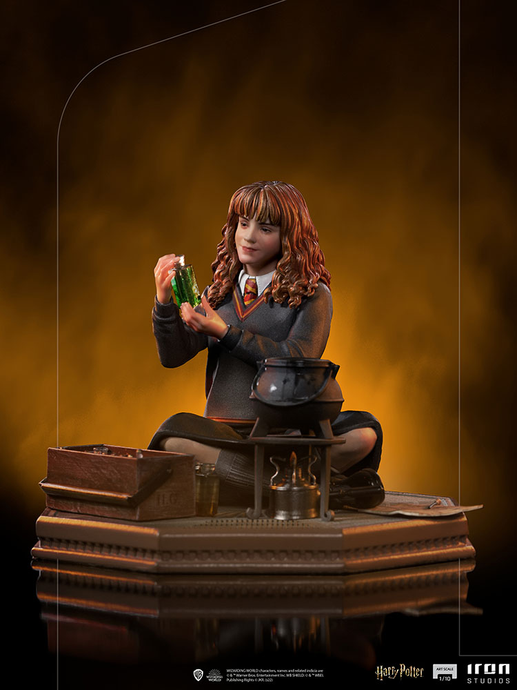 Hermione Granger Polyjuice 1/10