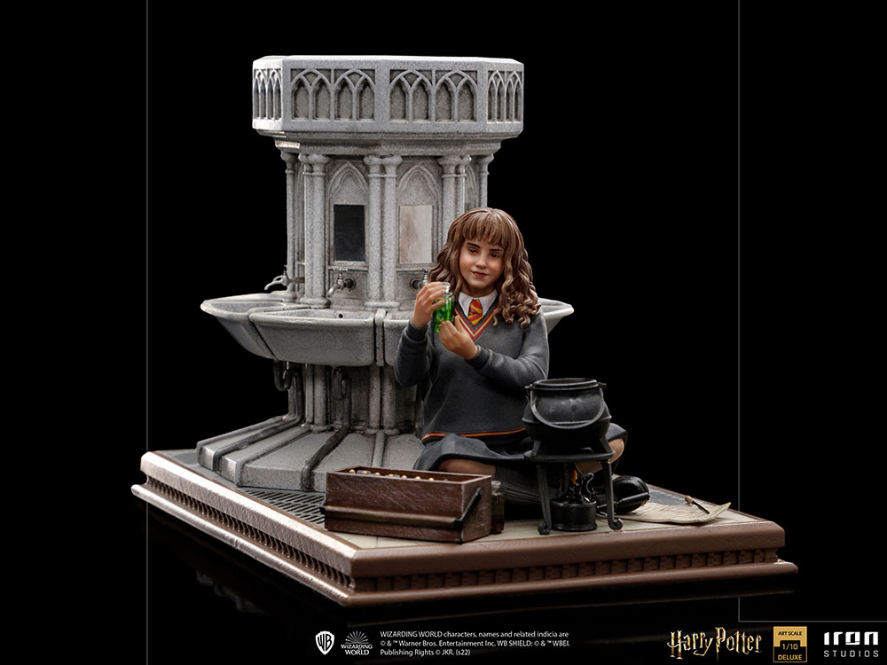 Hermione Granger Polyjuice 1/10