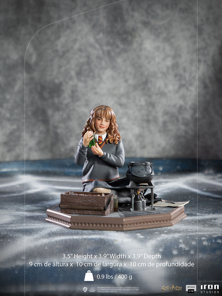 Hermione Granger Polyjuice 1/10