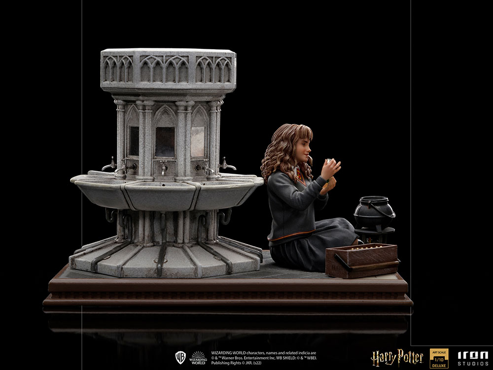 Hermione Granger Polyjuice 1/10