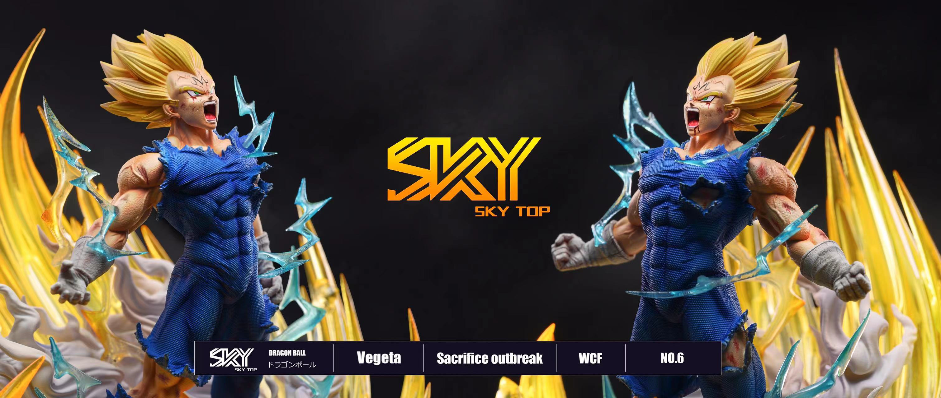 Vegeta Final Atonement – Dragon Ball