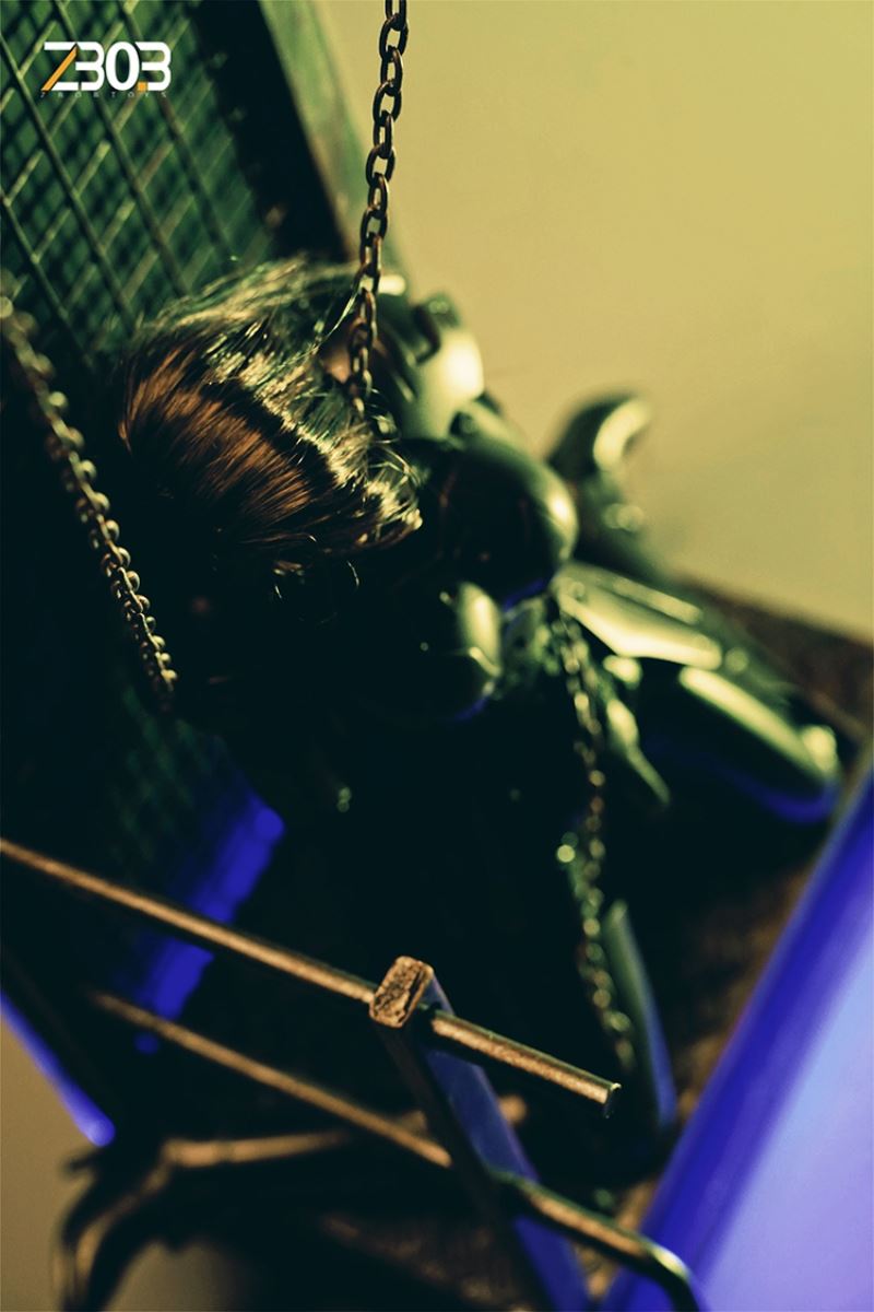 restraint iron stand 1/6