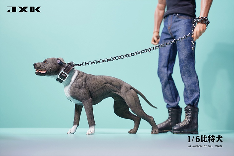 Pitbull 1/6