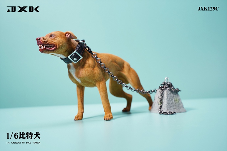 Pitbull 1/6