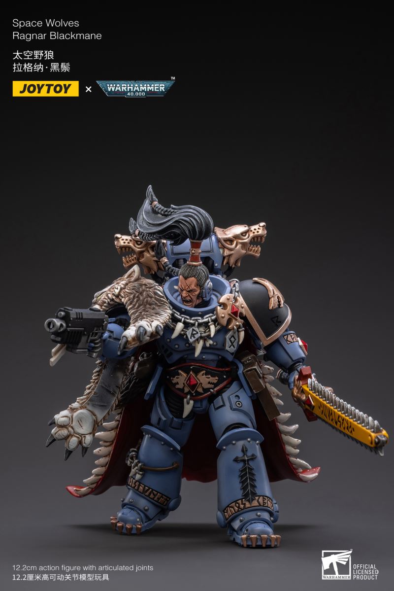 Warhammer 40000 Ferocious Bjorn