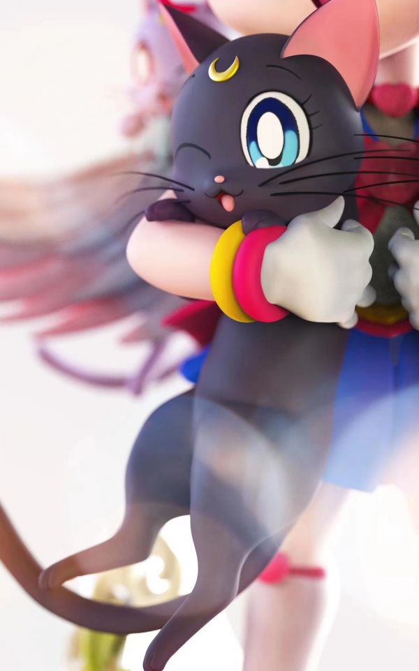 Sailor Mini Moon and the cat