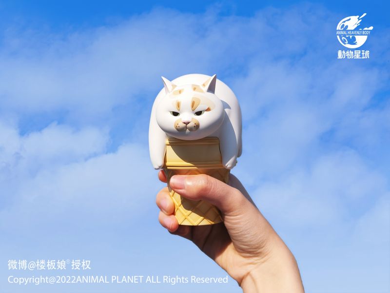 Ice Cream Cat