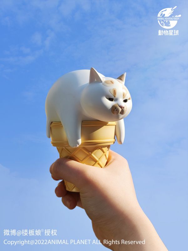Ice Cream Cat