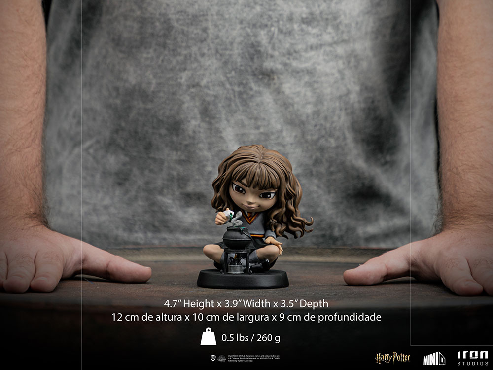Hermione Granger Polyjuice Mini Co