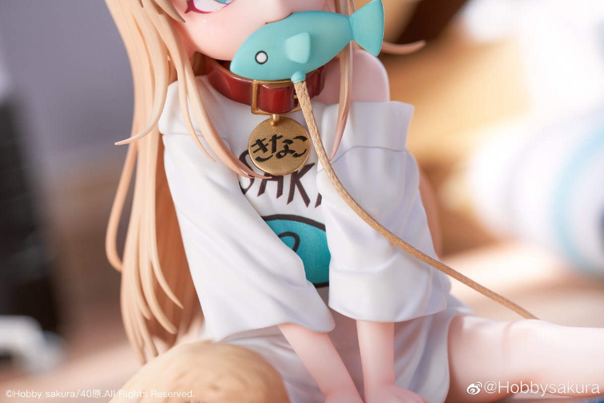 Kawaii Uchi no Neko ga Onnanoko - Kinako 1/6