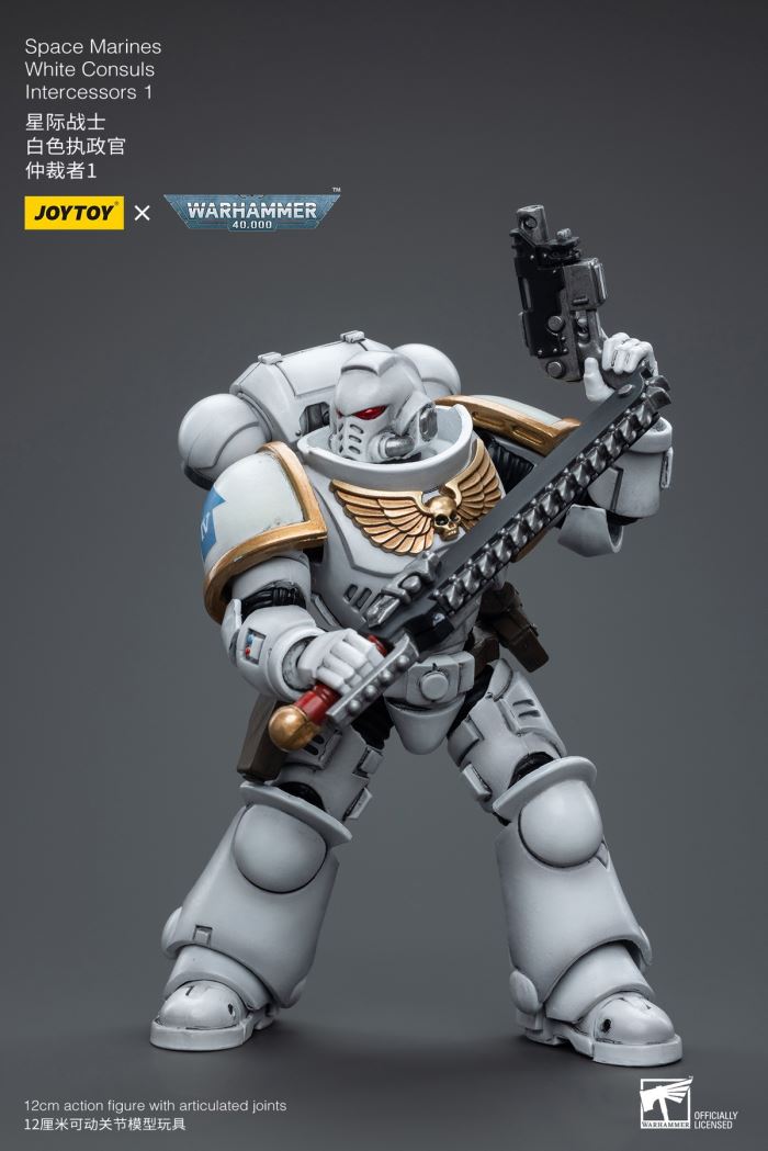 Space Marine White Consuls 1/18