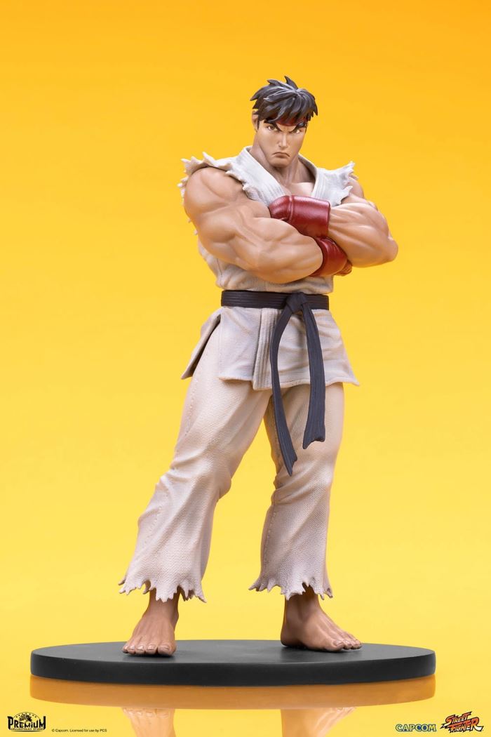 Street Fighter Series - RYU & DAN 1/10