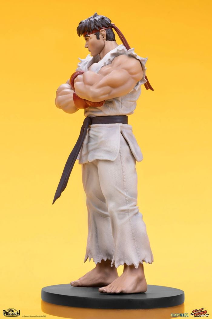 Street Fighter Series - RYU & DAN 1/10