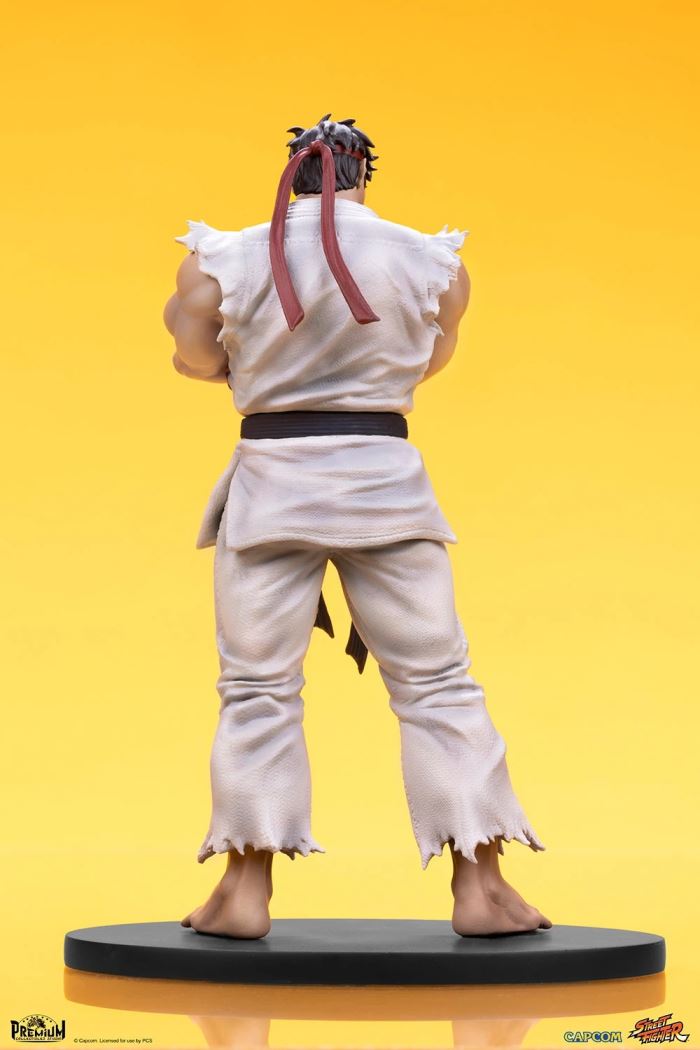 Street Fighter Series - RYU & DAN 1/10