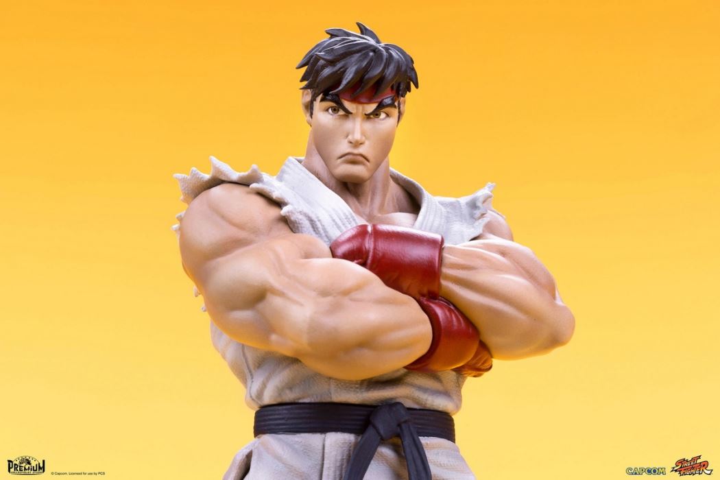 Street Fighter Series - RYU & DAN 1/10