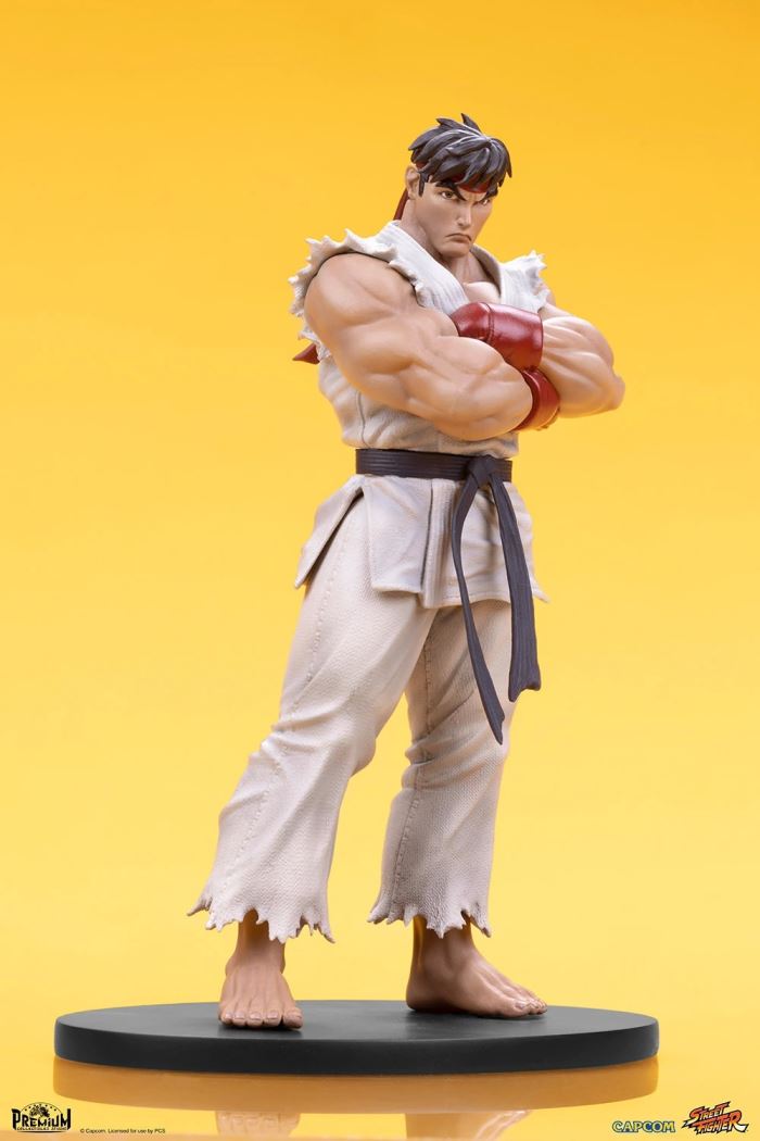 Street Fighter Series - RYU & DAN 1/10