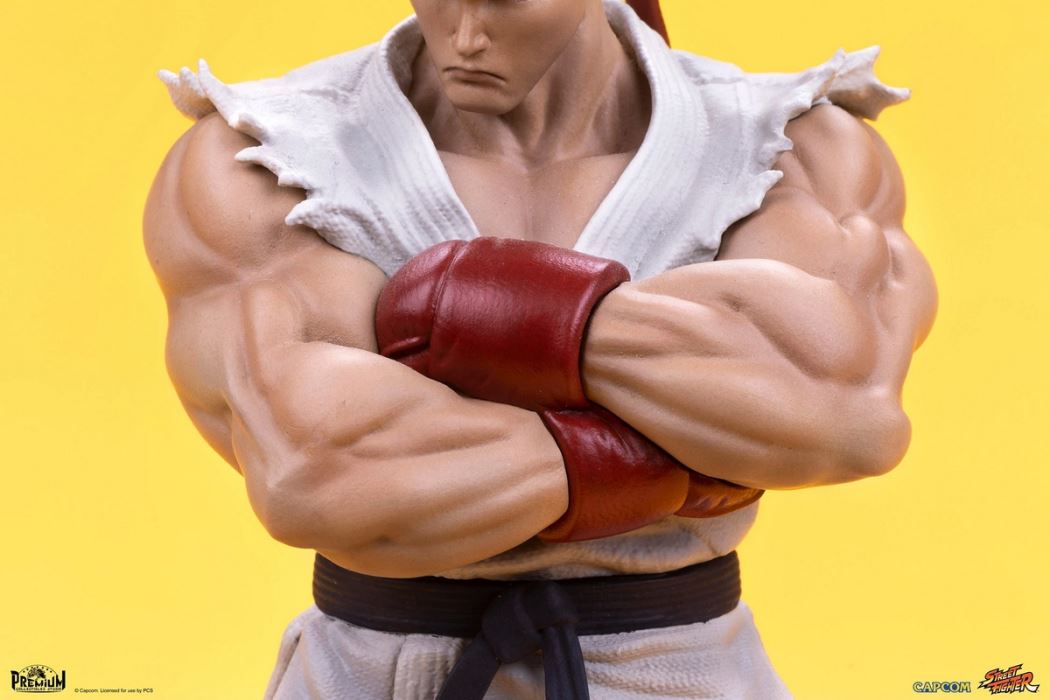 Street Fighter Series - RYU & DAN 1/10