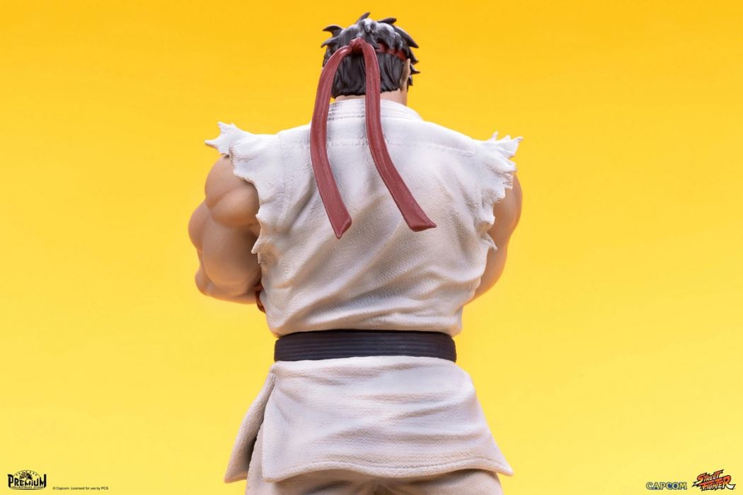 Street Fighter Series - RYU & DAN 1/10