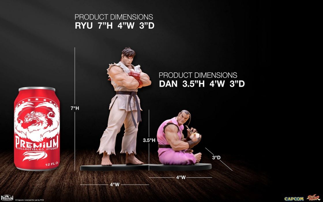 Street Fighter Series - RYU & DAN 1/10
