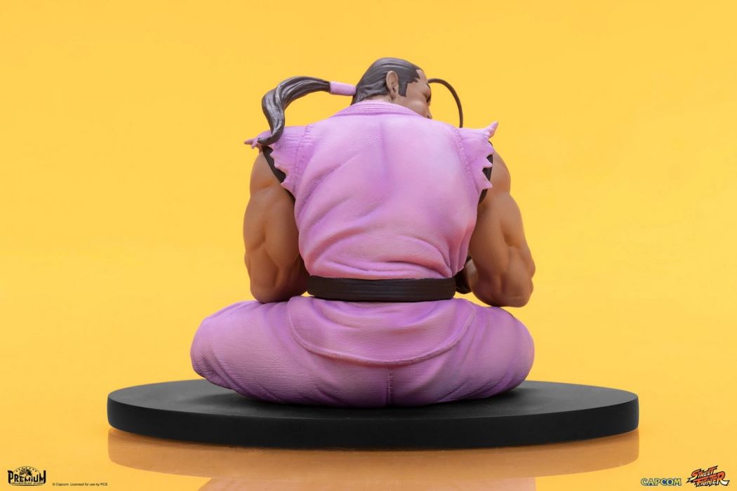 Street Fighter Series - RYU & DAN 1/10