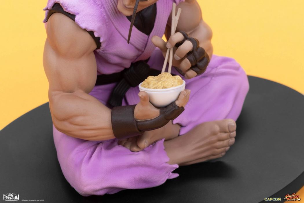 Street Fighter Series - RYU & DAN 1/10