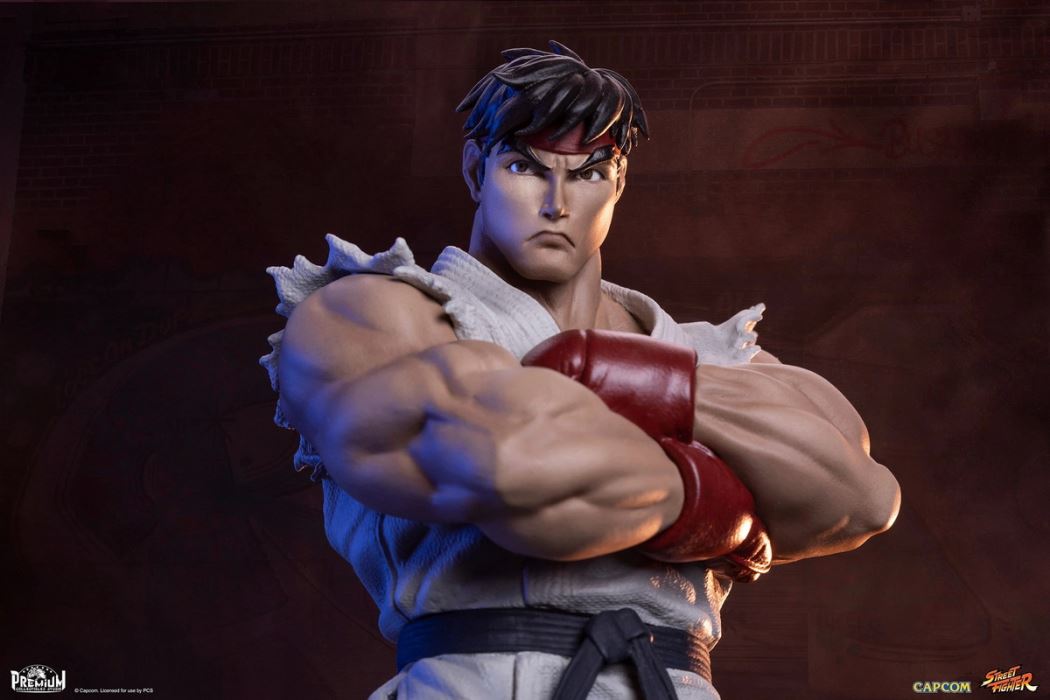 Street Fighter Series - RYU & DAN 1/10