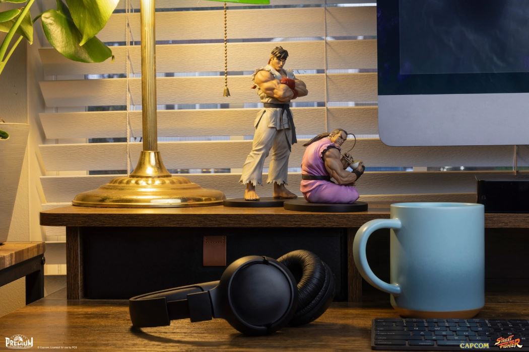 Street Fighter Series - RYU & DAN 1/10