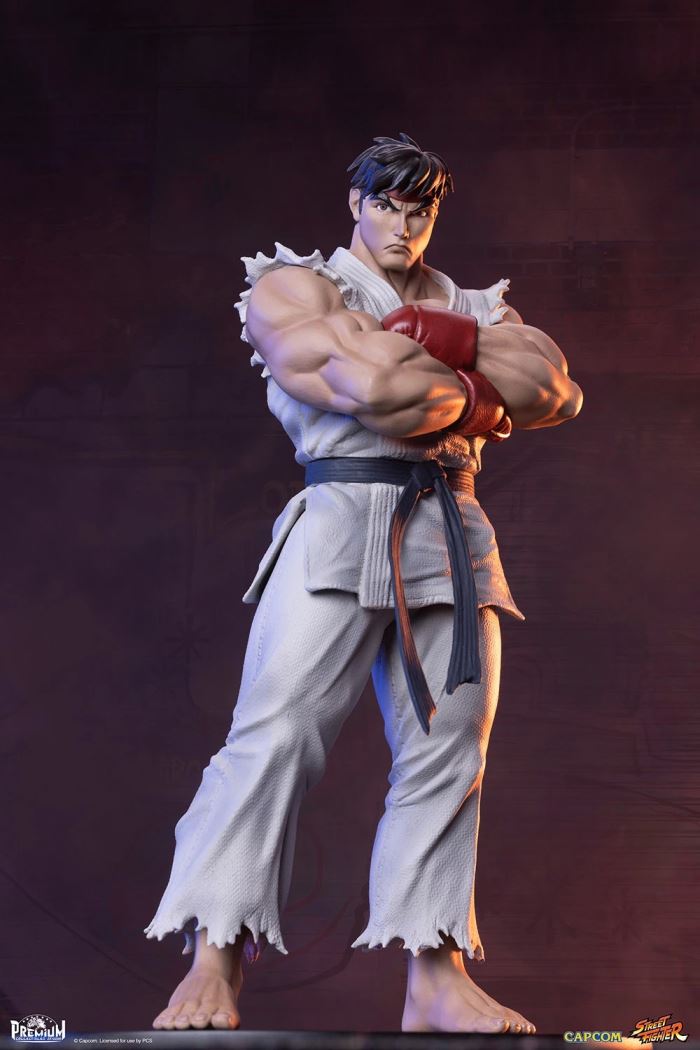 Street Fighter Series - RYU & DAN 1/10