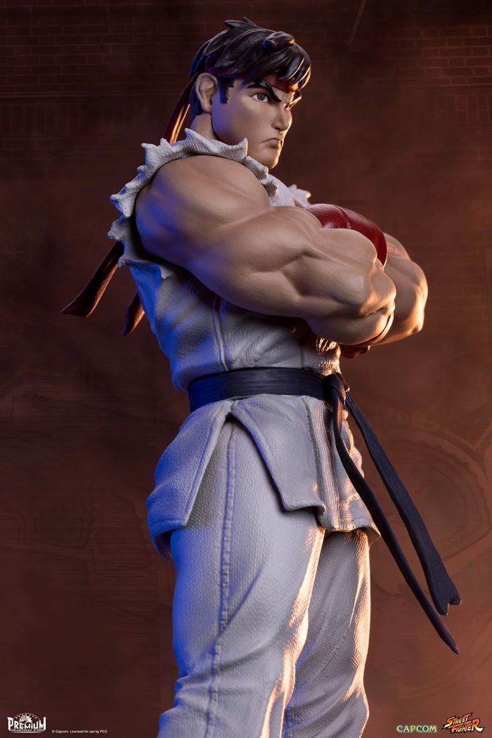 Street Fighter Series - RYU & DAN 1/10