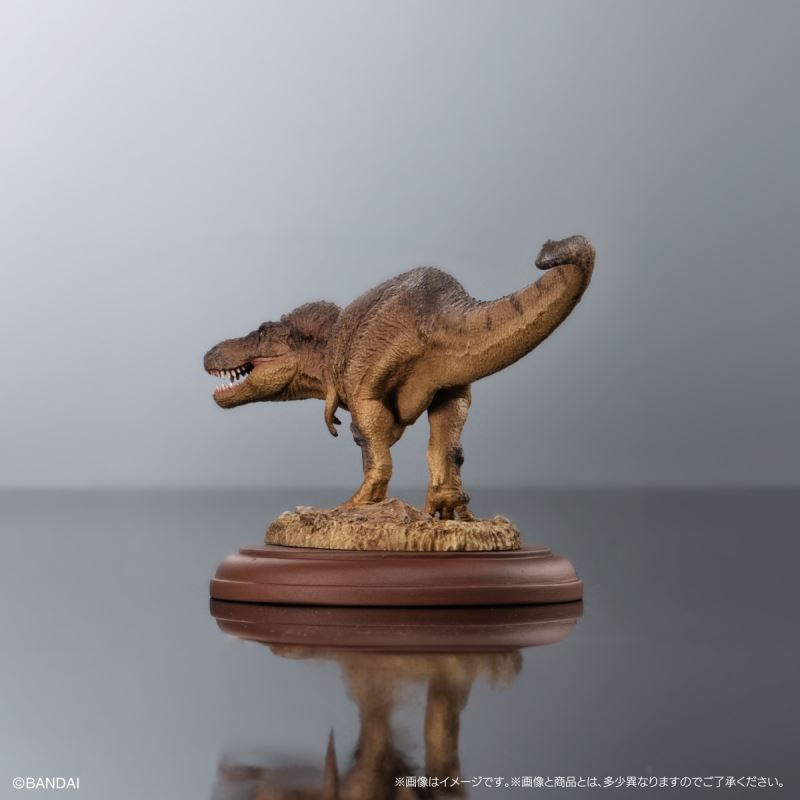 Creature Encyclopedia Display Model Collection Dinosaur 01