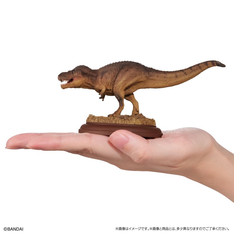 Creature Encyclopedia Display Model Collection Dinosaur 01