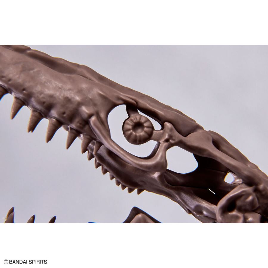 Imaginary Skeleton Mosasaurus 1/32