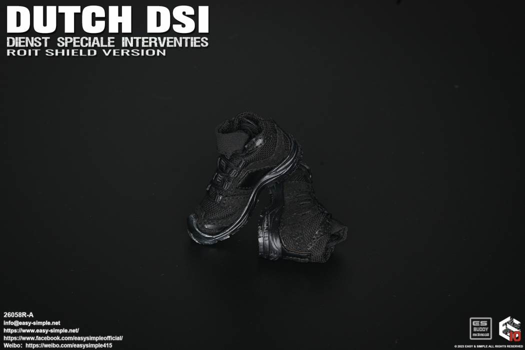 DUTCH DSI 1/6
