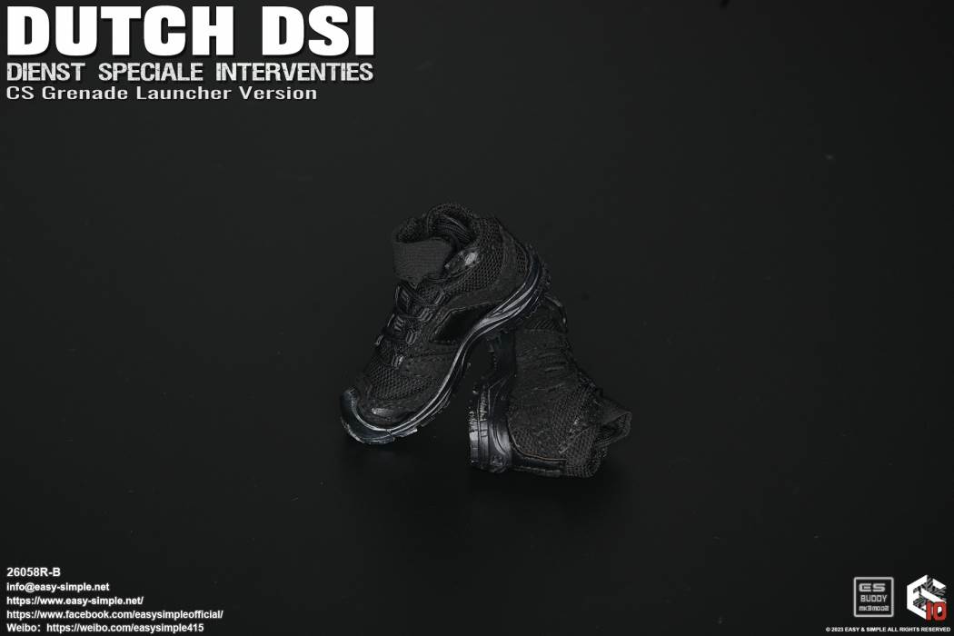 DUTCH DSI 1/6