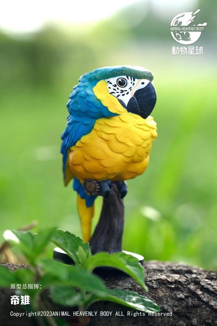 Heart Wide Body Fat Series Parrot