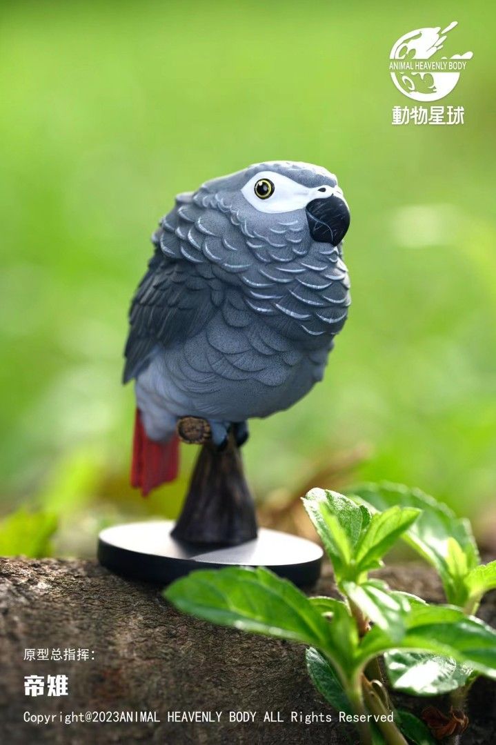 Heart Wide Body Fat Series Parrot