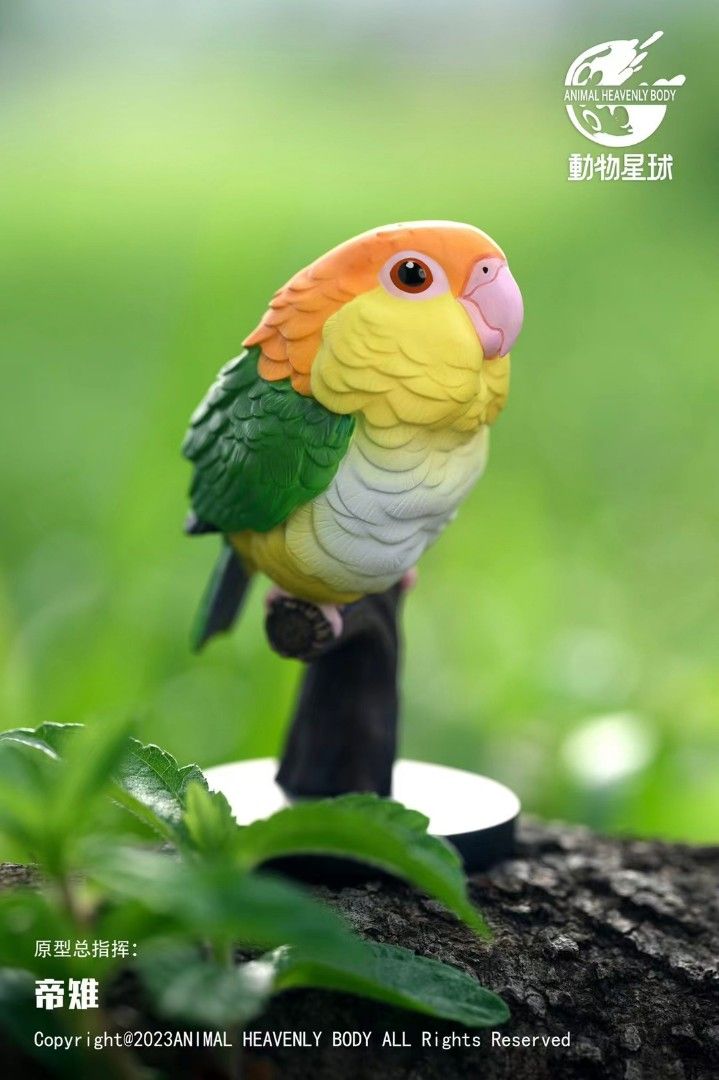 Heart Wide Body Fat Series Parrot