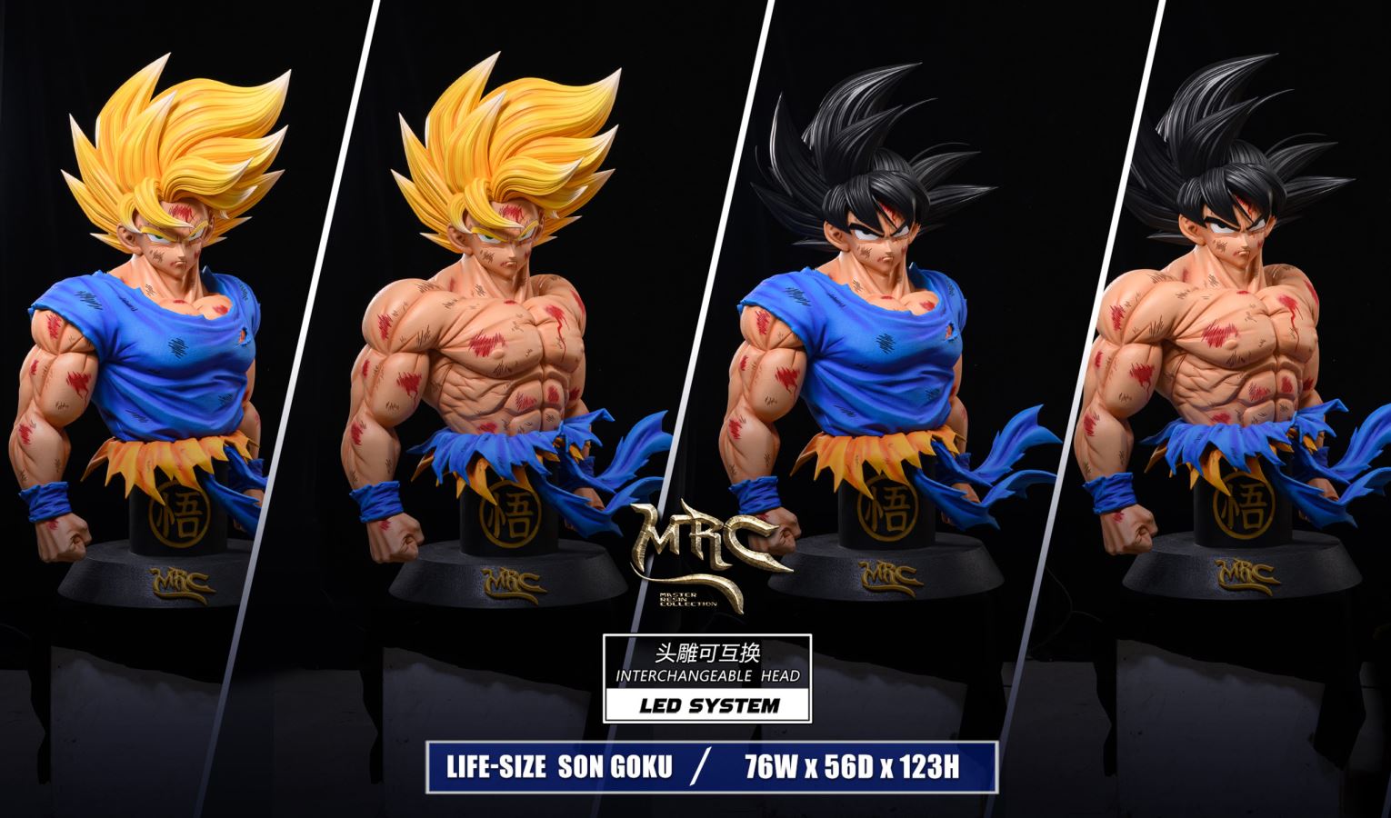 Goku 1/1