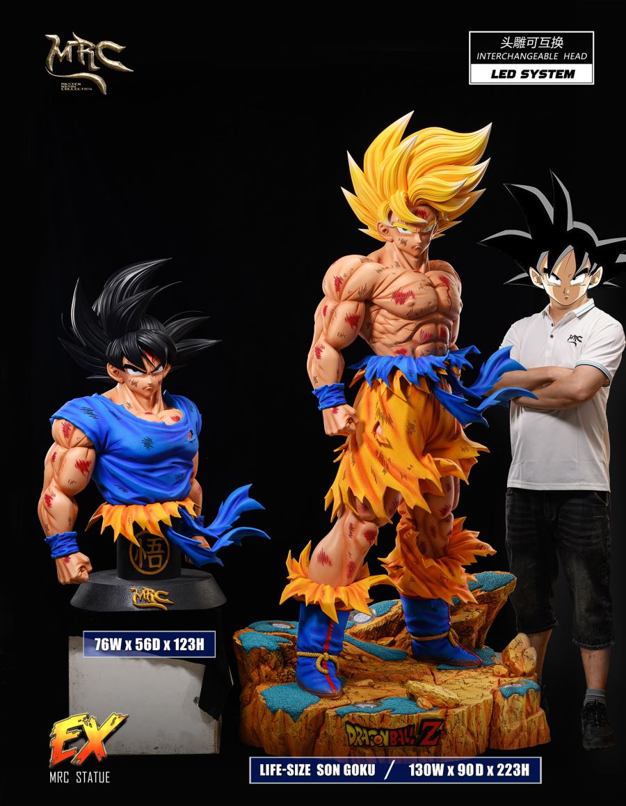 Goku 1/1