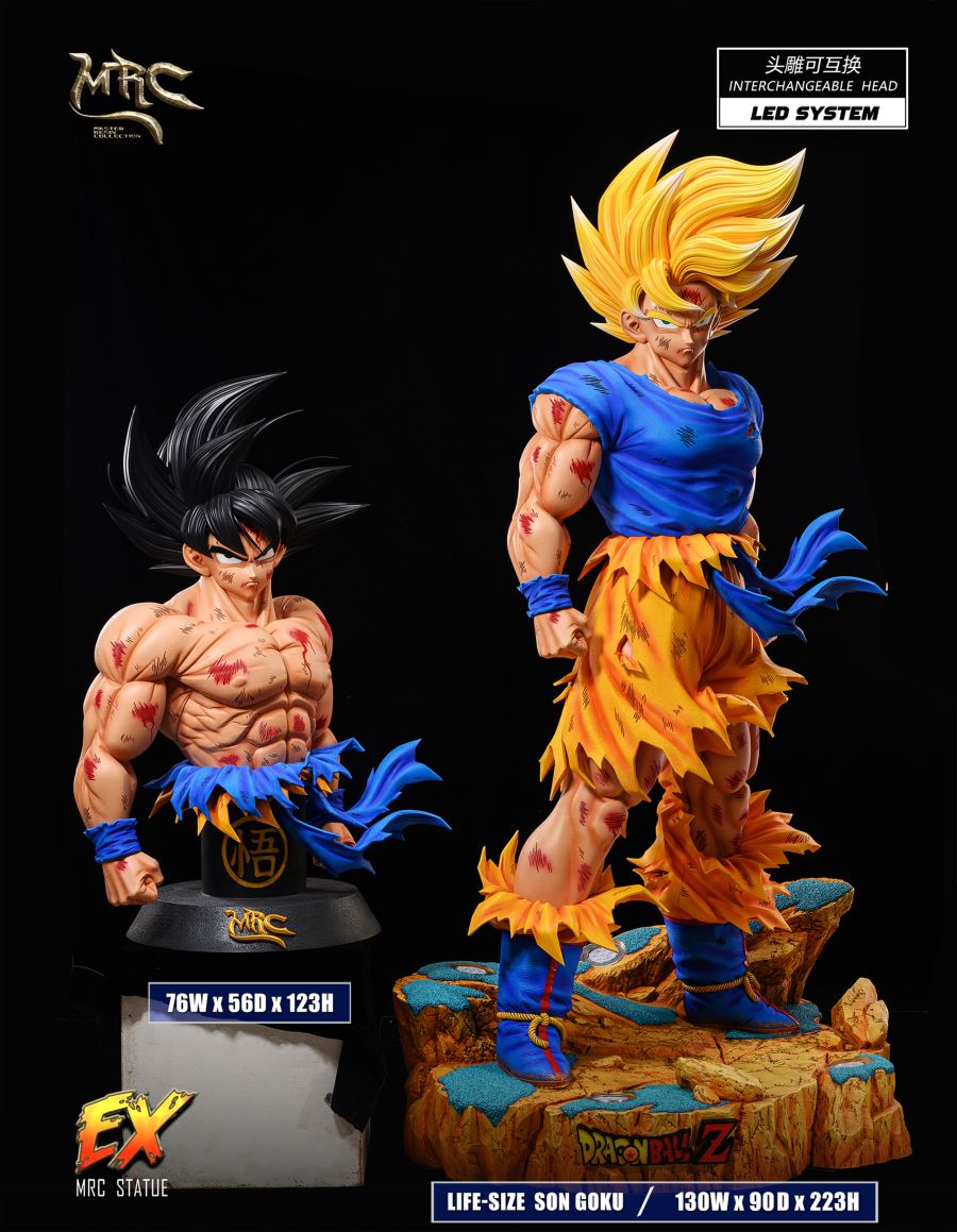Goku 1/1
