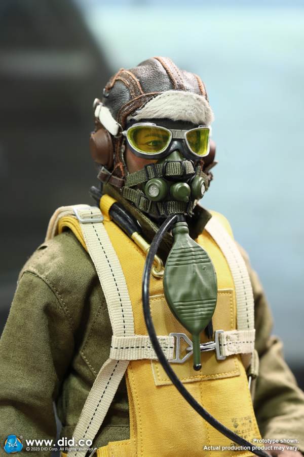WWII U.S. Army Air Forces Pilot - Captain Rafe 1/6