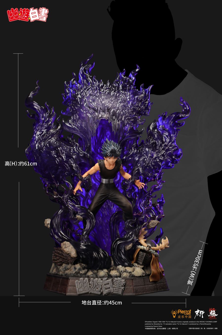 Hiei's Dragon Of The Darkness Flame - YuYu Hakusho