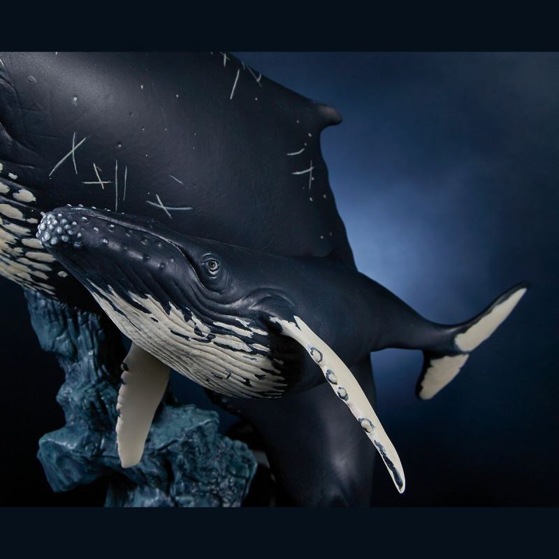 Nature Tales Humpback whale parent and child