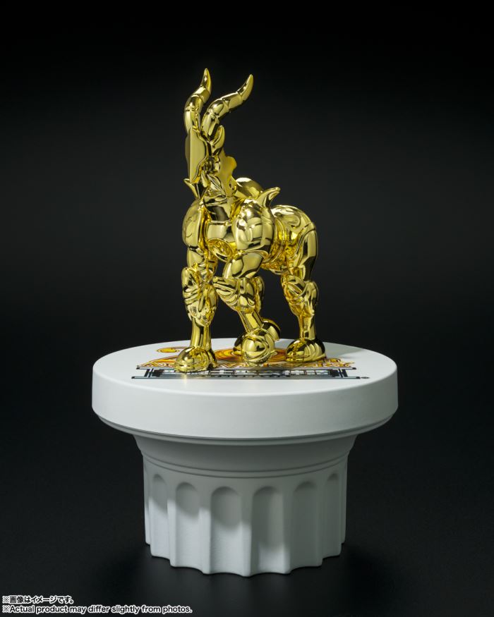 Saint Seiya Myth Cloth APPENDIX Golden Cloth Object 20th Anniversary Ver