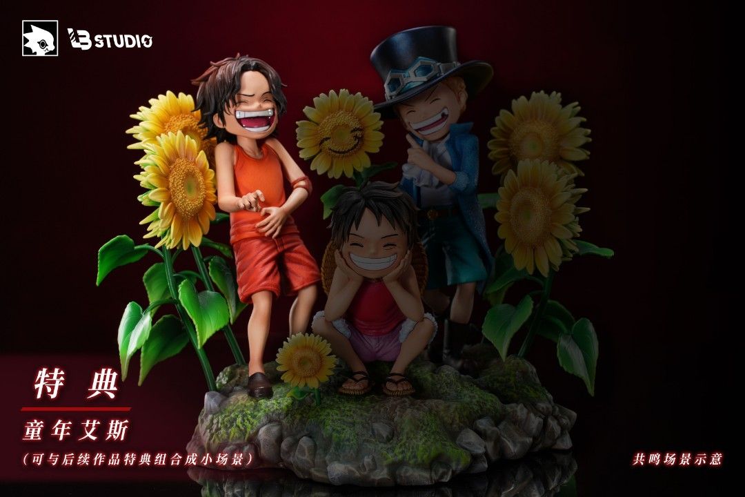 Three Brothers Series (Part 1) Ace - One Piece