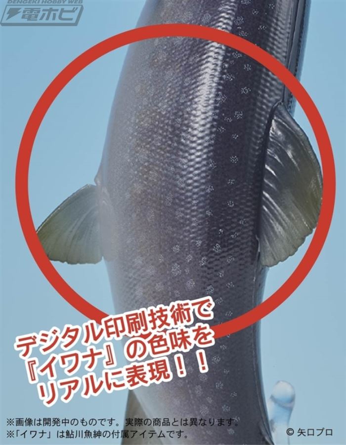 DIGSTA Fishing Kitchen Sanpei