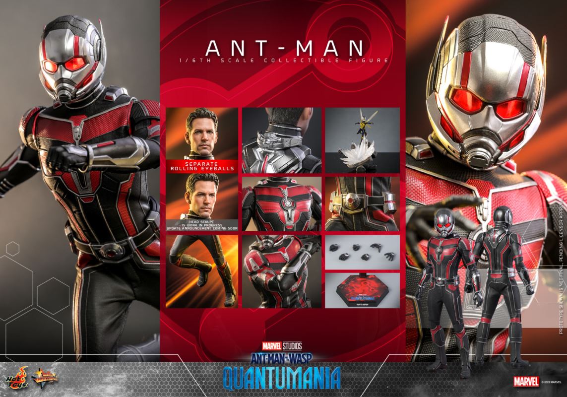 Ant-Man and the Wasp: Quantum Surge - ANT-MAN (MMS690) 1/6