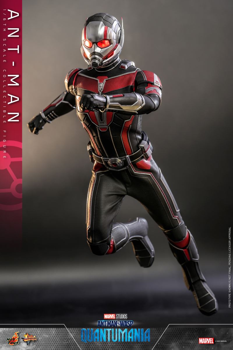 Ant-Man and the Wasp: Quantum Surge - ANT-MAN (MMS690) 1/6