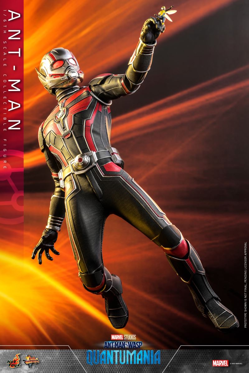 Ant-Man and the Wasp: Quantum Surge - ANT-MAN (MMS690) 1/6