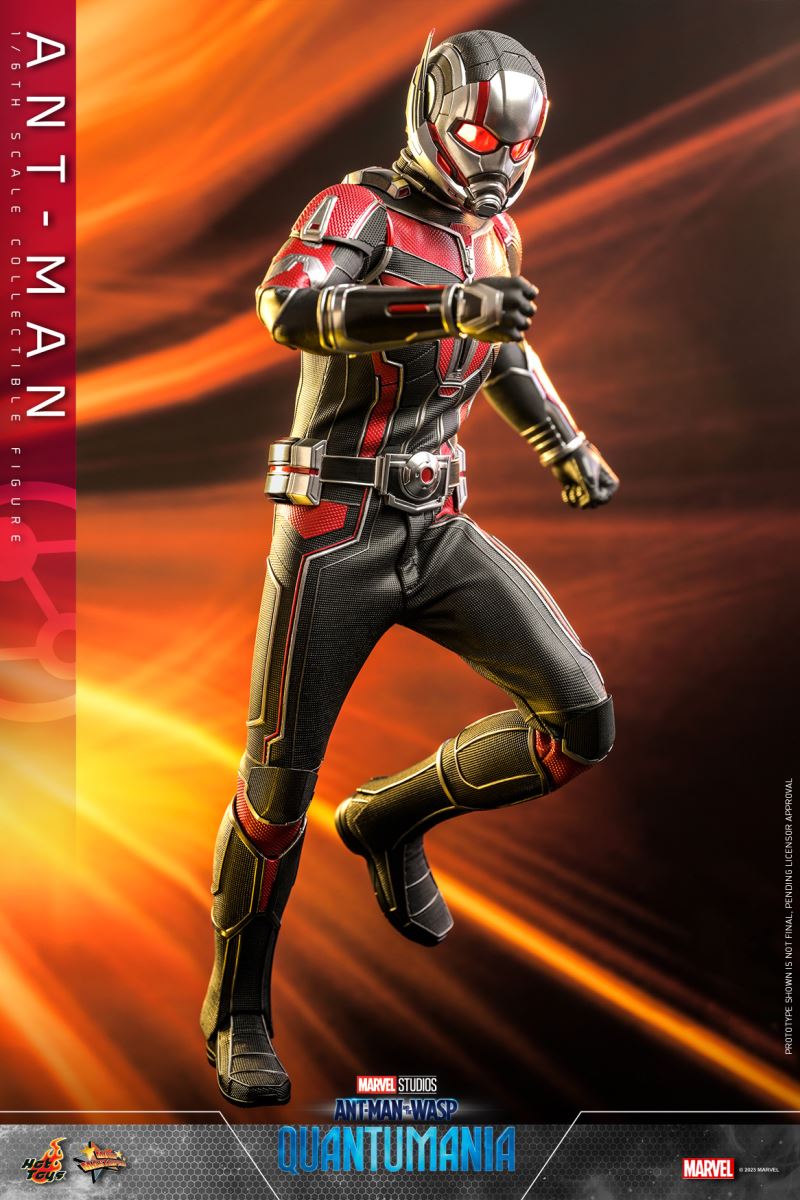 Ant-Man and the Wasp: Quantum Surge - ANT-MAN (MMS690) 1/6